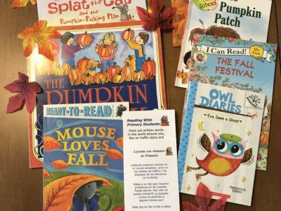 NDS books