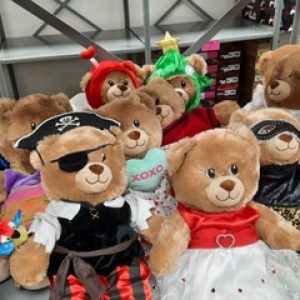 dressed up buildabears