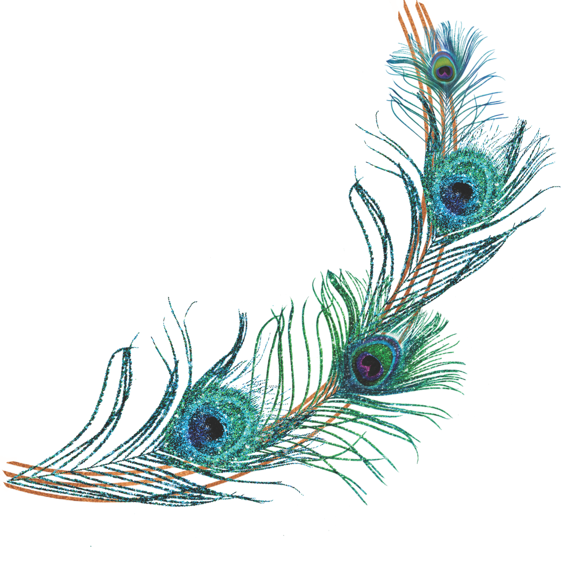 2023 LLS peacock arc small 2023 LLS peacock arc small