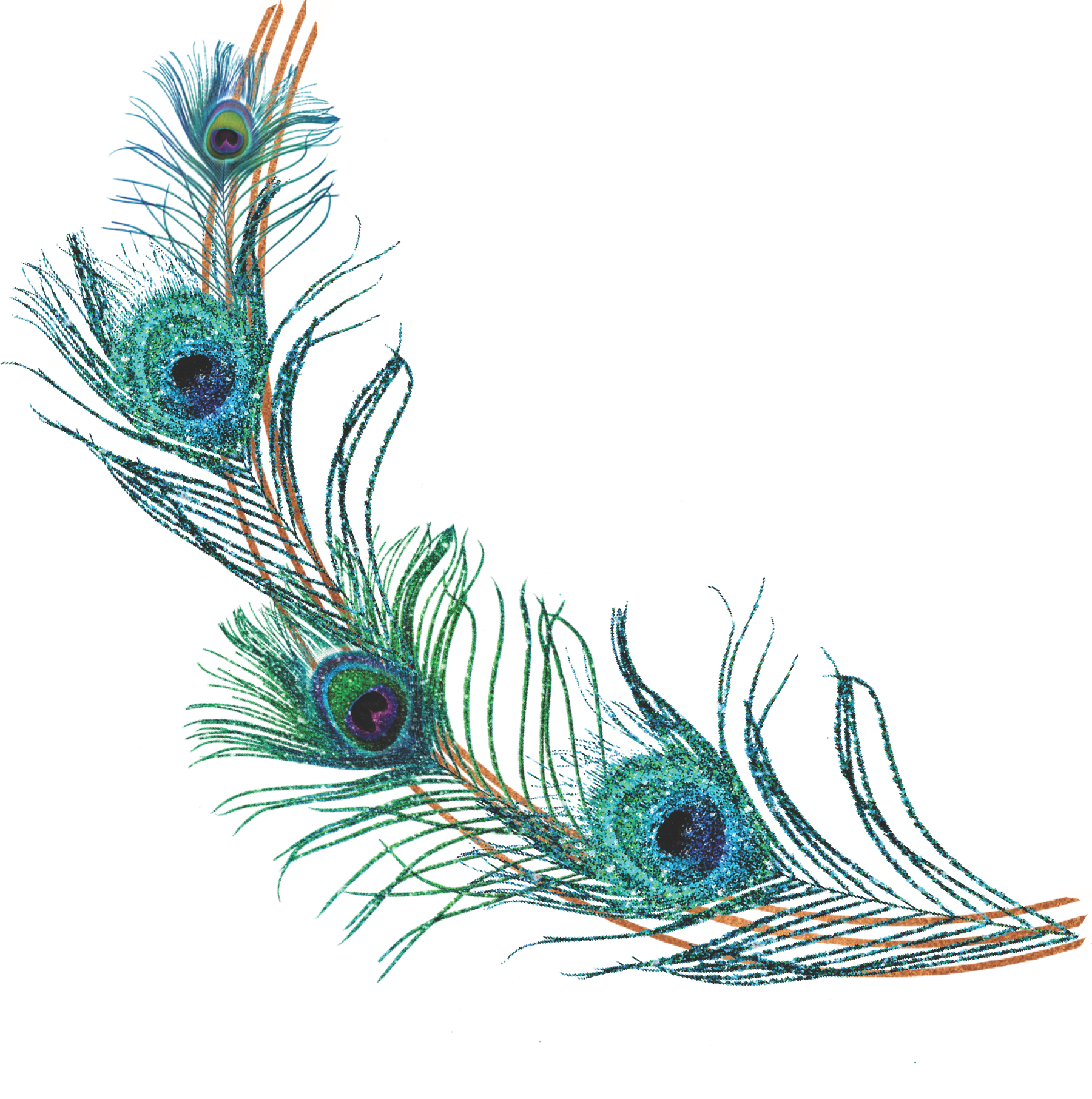 2023 LLS peacock arc small reversed 2023 LLS peacock arc small reversed