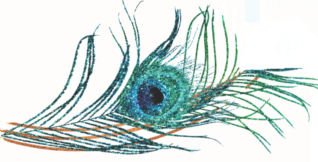 2023 LLS peacock eye small